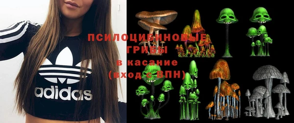 эйфоретик Беломорск